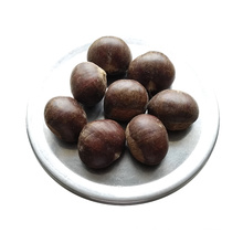 2018 new crop 140 grains/kg Beijing Chestnuts